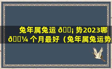 兔年属兔运 🐡 势2023哪 🌼 个月最好（兔年属兔运势2023哪个月最好运）